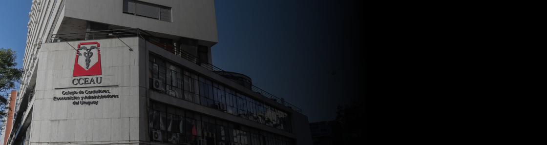 Colegio de Contadores, Economistas y Administradores del Uruguay