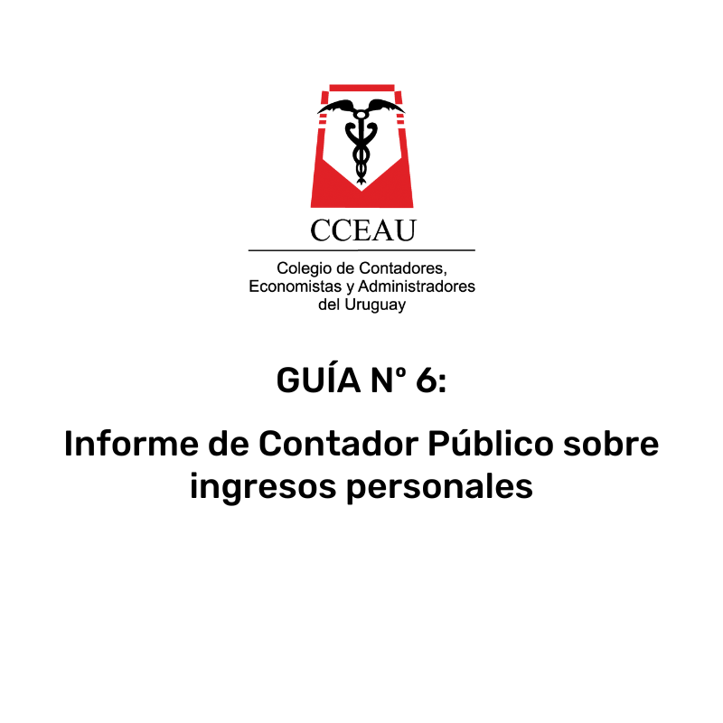 Guía Nº6: Informe de Contador Público sobre ingresos personales